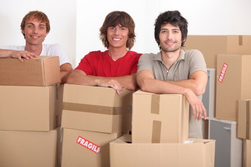 Professional removals van support for homes and businesses in South Tottenham